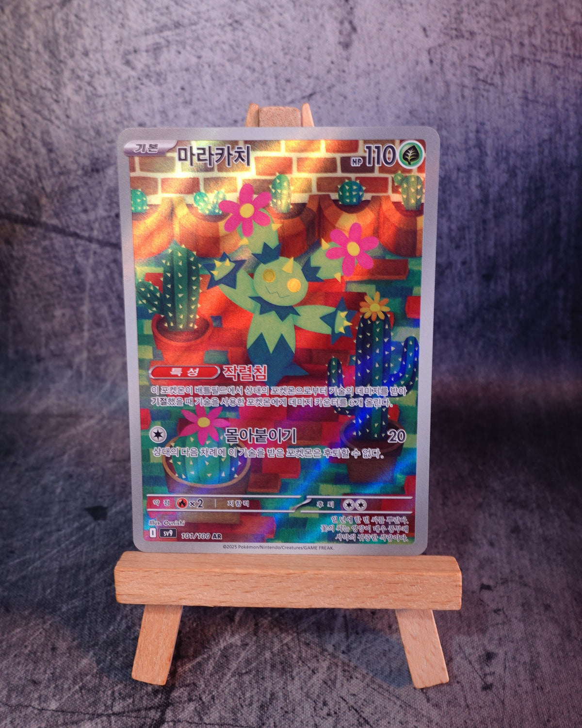Maractus (sv9 101)