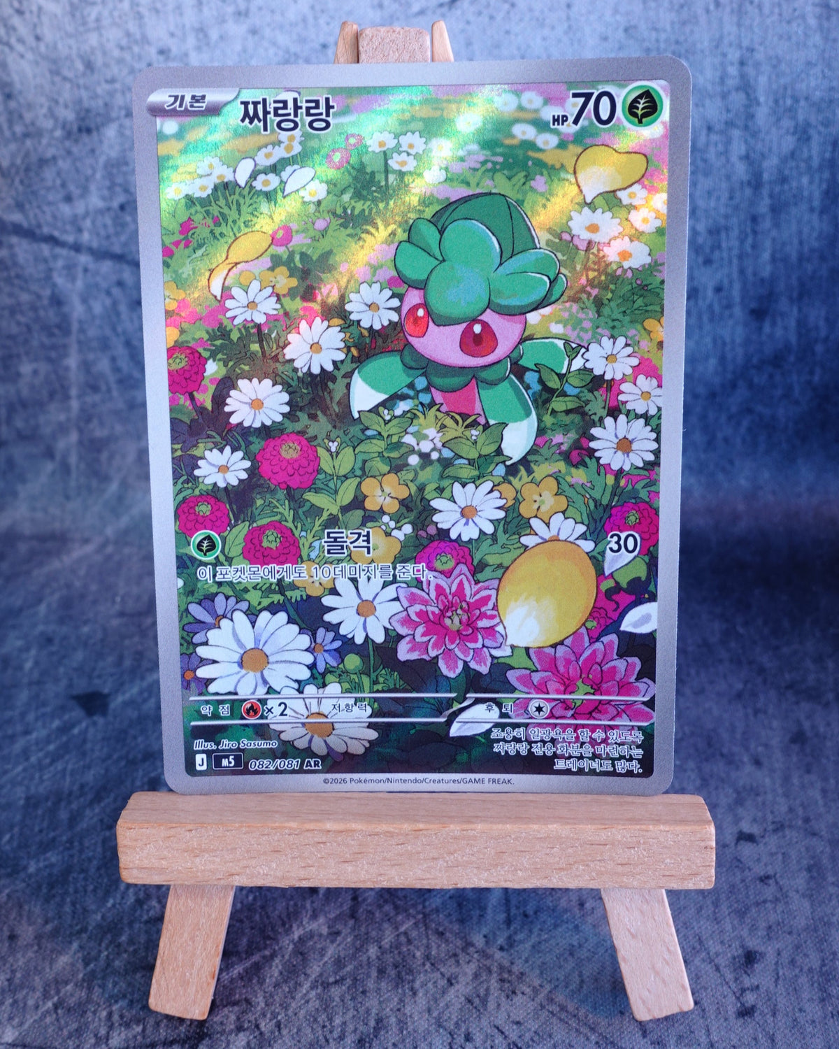 Fomantis (m5 082)