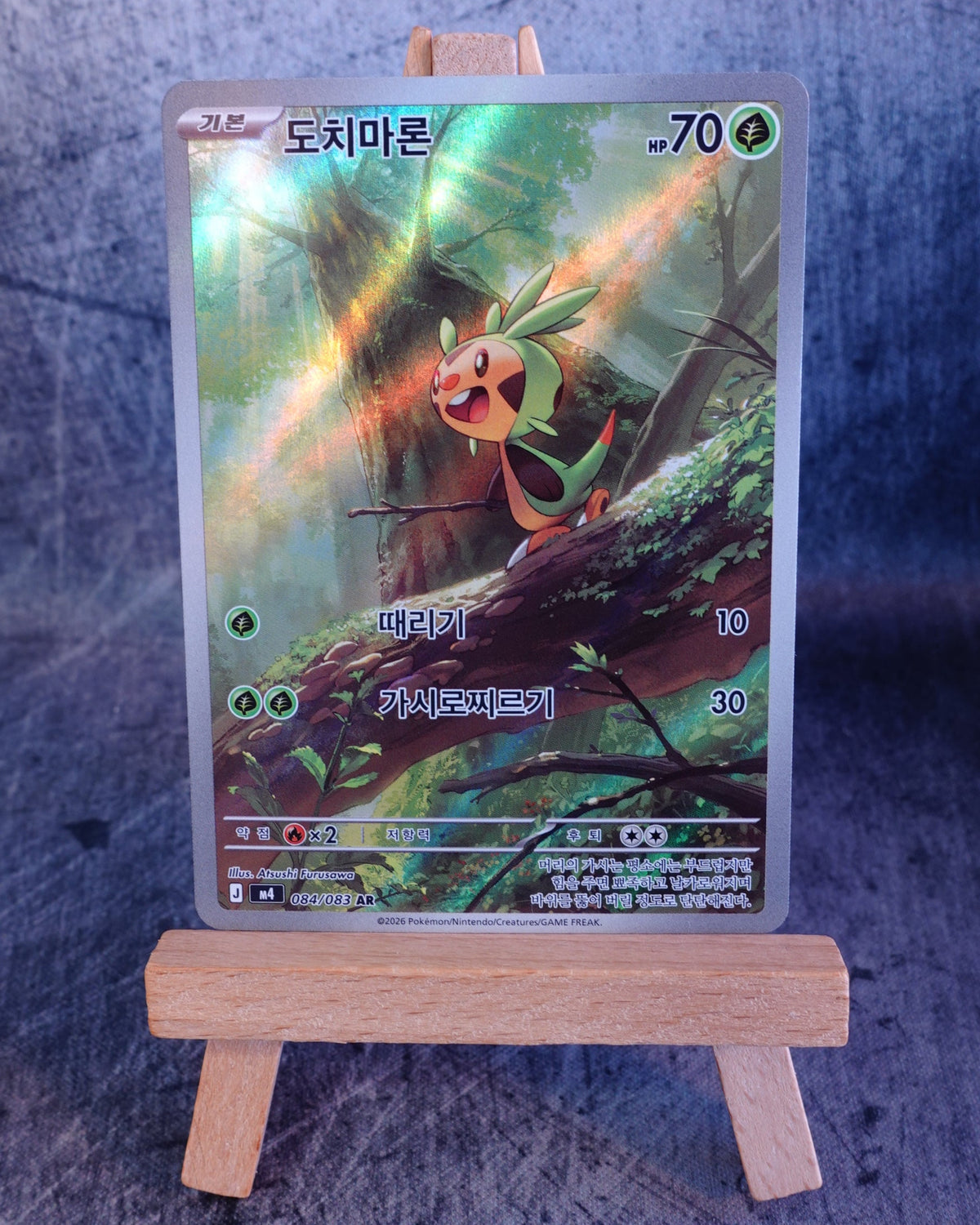 Chespin (m4 084)